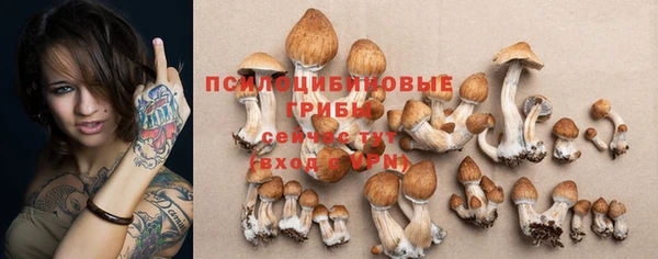 таблы Горно-Алтайск
